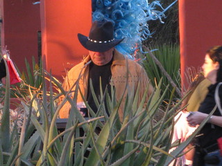 beth's Dale Chihuly pictures -