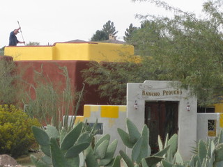 beth's Dale Chihuly pictures -