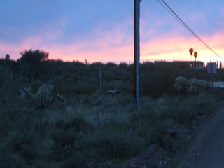 beth's pictures - Cave Creek mine hike - sunset