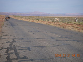 63 6tm. Monument Valley (UT25) run