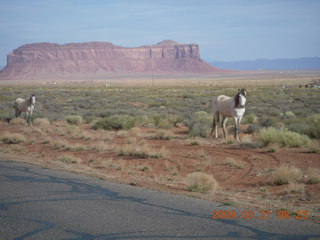 67 6tm. Monument Valley (UT25) run - horses