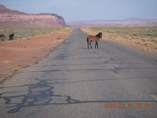 68 6tm. Monument Valley (UT25) run - horses