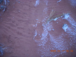 5 6uh. Canyonlands - Lathrop trail hike - sandy grass