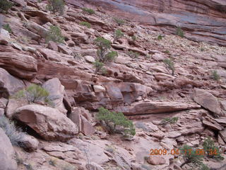 35 6uh. Canyonlands - Lathrop trail hike