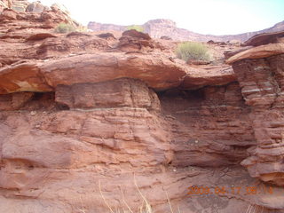83 6uh. Canyonlands - Lathrop trail hike