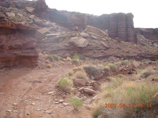 85 6uh. Canyonlands - Lathrop trail hike