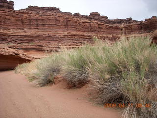 104 6uh. Canyonlands - Lathrop trail hike
