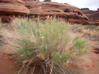 105 6uh. Canyonlands - Lathrop trail hike