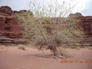 108 6uh. Canyonlands - Lathrop trail hike
