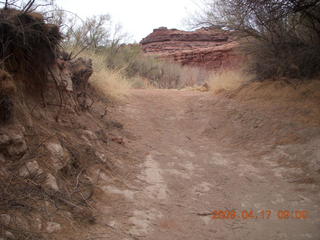117 6uh. Canyonlands - Lathrop trail hike