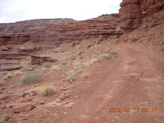 141 6uh. Canyonlands - Lathrop trail hike