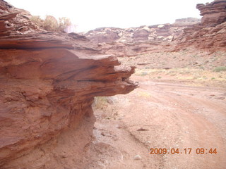 144 6uh. Canyonlands - Lathrop trail hike