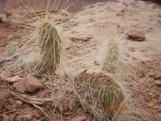 212 6uh. Canyonlands - Lathrop trail hike