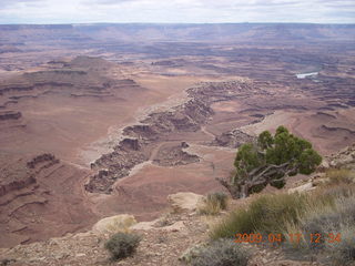 220 6uh. Canyonlands - Lathrop trail hike