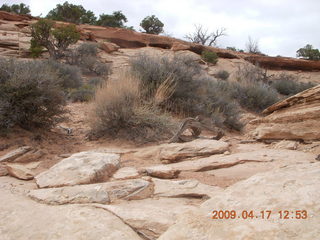 236 6uh. Canyonlands - Lathrop trail hike