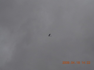 240 6uj. skydiver at Canyonlands (CNY)