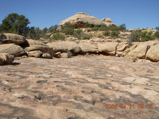 41 6um. Brown's Rim - Cateract Canyon area