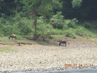 290 6xq. China eclipse - Li River  boat tour