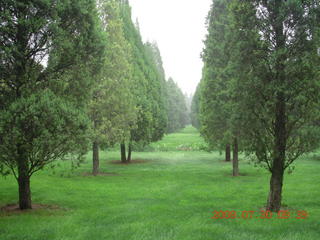 114 6xw. China eclipse - Beijing - Temple of Heaven