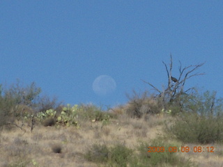 full moon