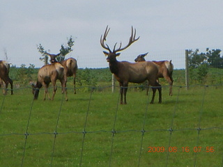 Afton, Minnesota, run
