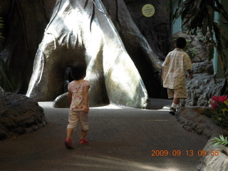 Philadelphia Zoo - giraffe