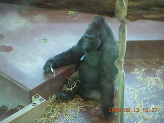 Philadelphia Zoo - Gaby