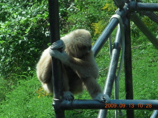 Philadelphia Zoo - Cecelia and Betsy