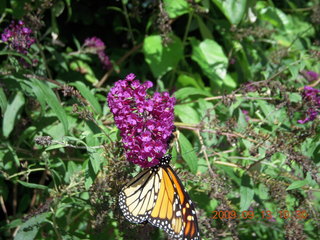 Philadelphia Zoo - Cecelia