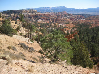 95 702. Bryce Canyon amphitheater hike