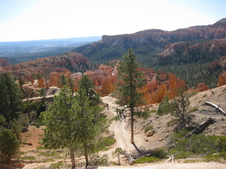 105 702. Bryce Canyon amphitheater hike