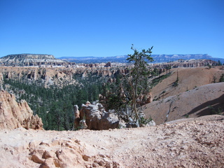 132 702. Bryce Canyon amphitheater hike