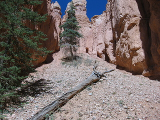 138 702. Bryce Canyon amphitheater hike