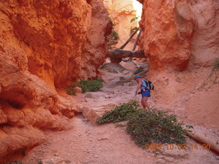 195 702. Bryce Canyon amphitheater hike - Adam