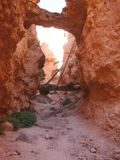 198 702. Bryce Canyon amphitheater hike