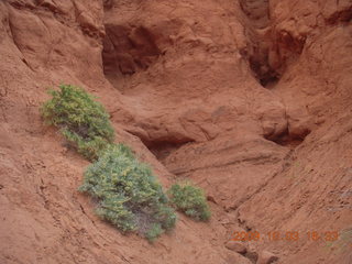 174 703. Kodachrome Basin State Park - Shakespeare Arch