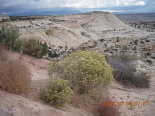 13 704. drive to Escalante