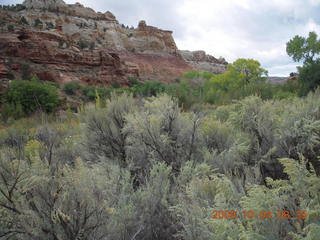 42 704. Escalante - Calf Creek trail