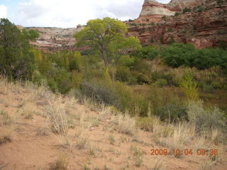 45 704. Escalante - Calf Creek trail