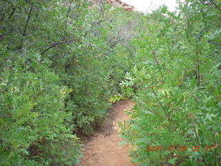 47 704. Escalante - Calf Creek trail