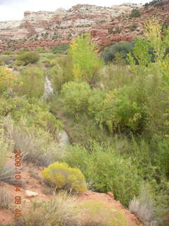 50 704. Escalante - Calf Creek trail