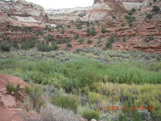 53 704. Escalante - Calf Creek trail