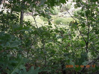 66 704. Escalante - Calf Creek trail