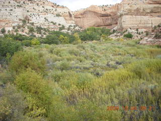70 704. Escalante - Calf Creek trail