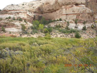 71 704. Escalante - Calf Creek trail
