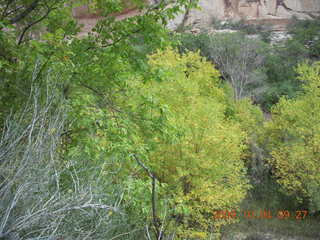 73 704. Escalante - Calf Creek trail