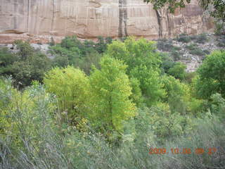 74 704. Escalante - Calf Creek trail