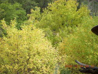 80 704. Escalante - Calf Creek trail