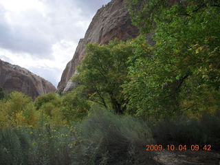 87 704. Escalante - Calf Creek trail