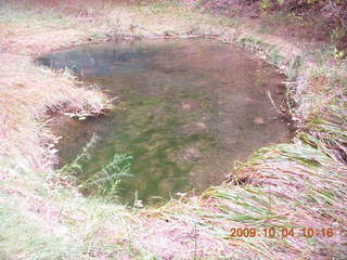 129 704. Escalante - Calf Creek trail - pond